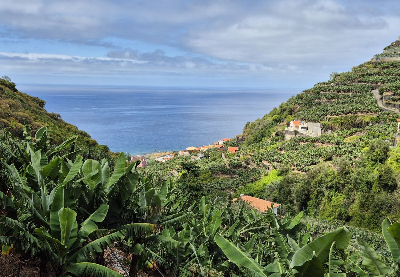 Villa em Ribeira Brava - Atlantic Valley