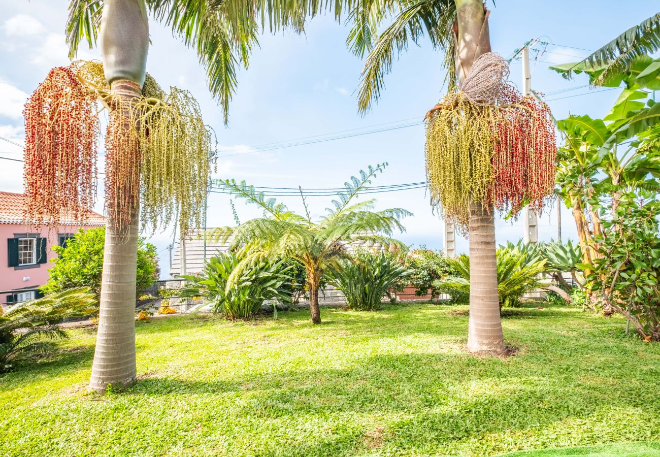 Casa em Ponta do Sol - Villa Pôr do Sol
