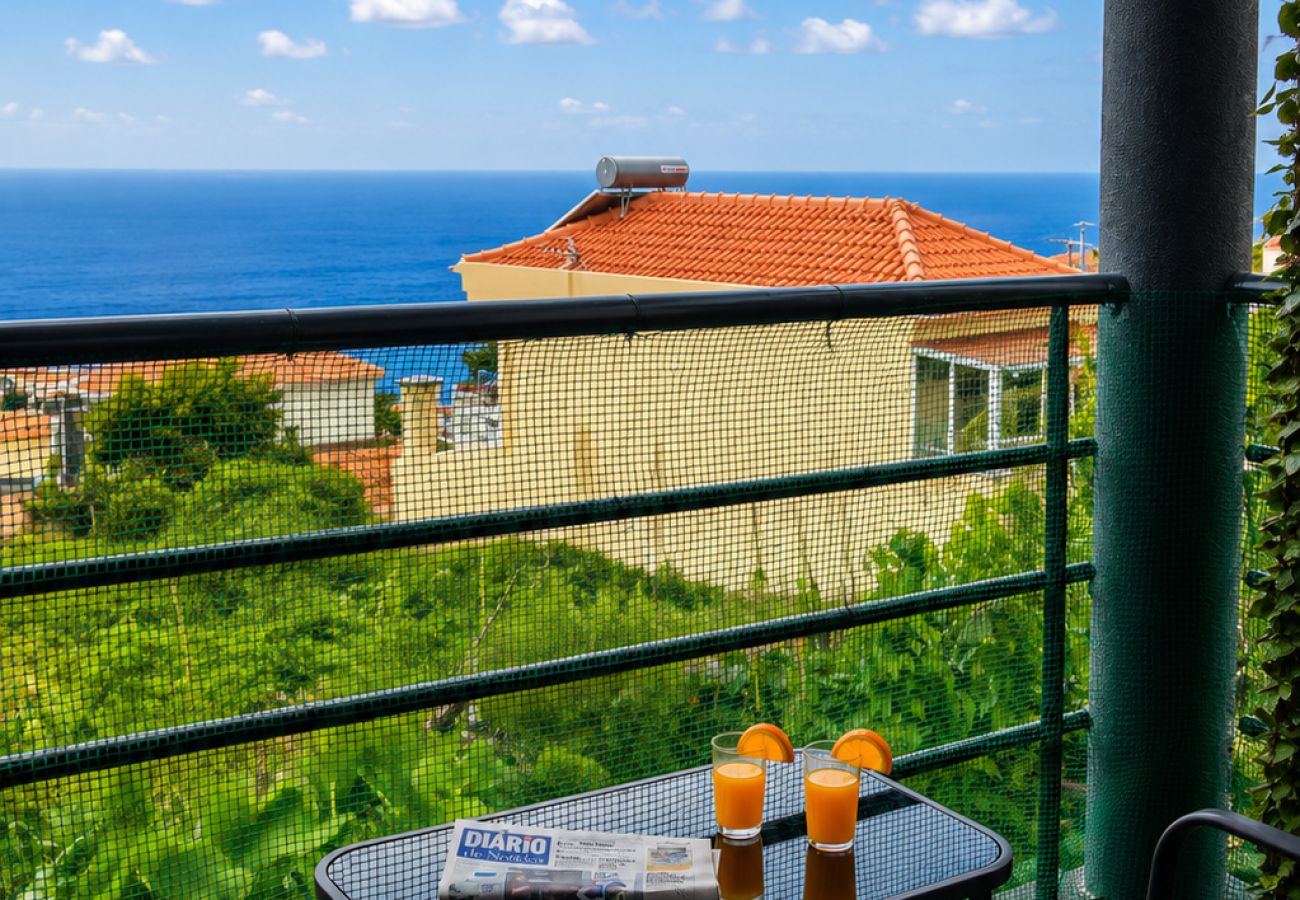 Apartamento em Calheta - Calheta Bliss