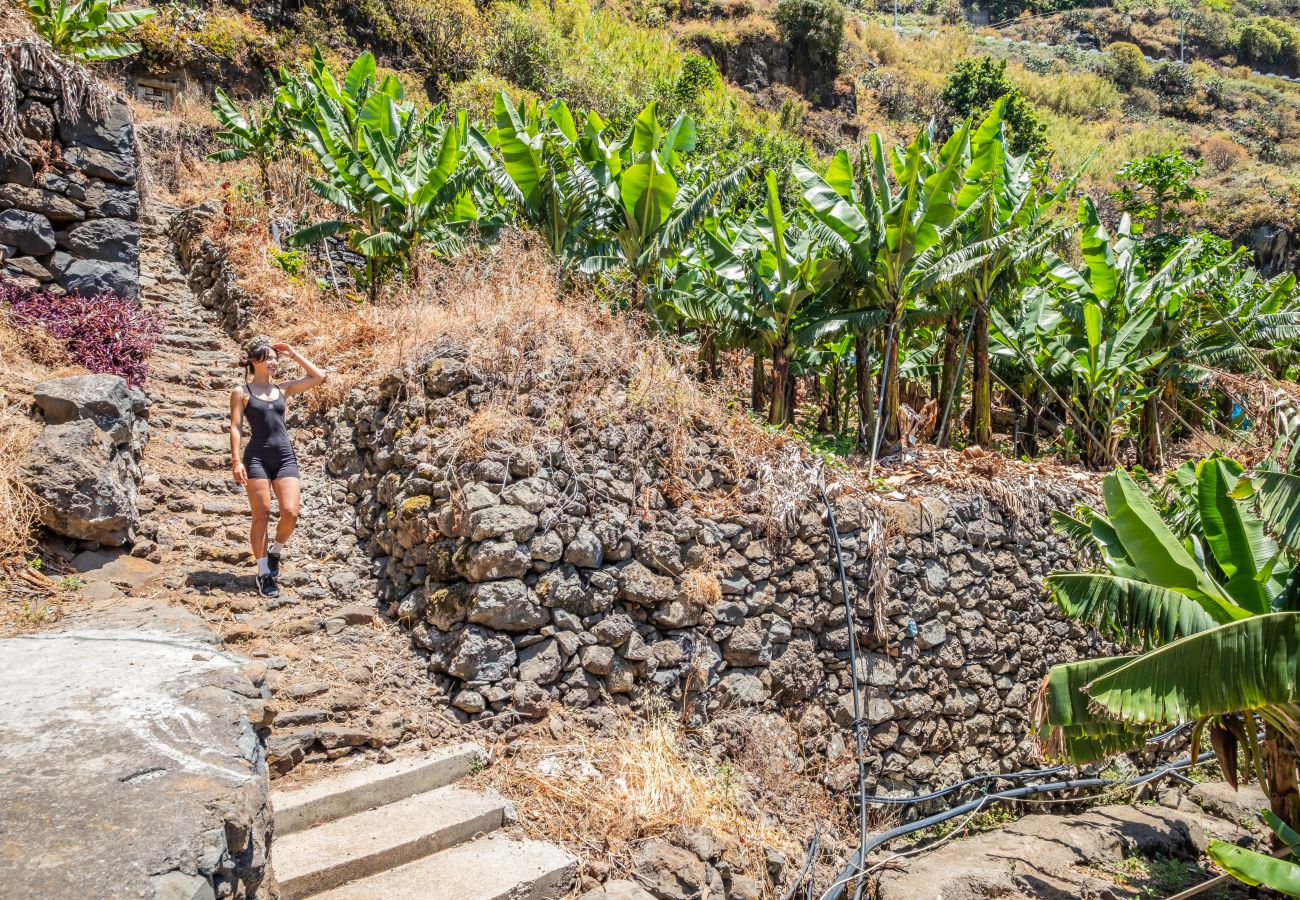 Villa in Ribeira Brava - Atlantic Pebble Villa